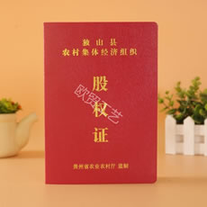 貴州省獨(dú)山縣股權(quán)證定做廠(chǎng)家