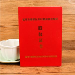 咸陽(yáng)市秦都區(qū)股權(quán)證