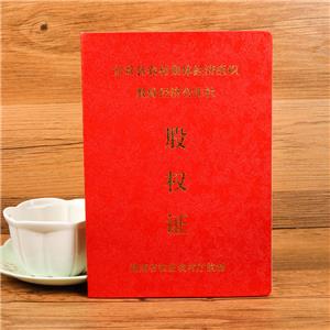 宜章縣股權(quán)證定做