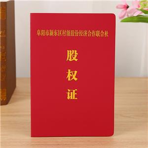 阜陽(yáng)市穎東區(qū)股權(quán)證